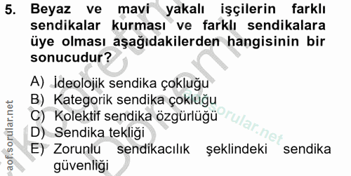 5. soru: Beyaz ve mavi yakalı işçilerin farklı sendikalar kurması ve farklı sendikalara üye olması aşağıdakilerden hangisinin…