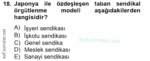 18. soru: Japonya ile özdeşleşen taban sendikal örgütlenme modeli aşağıdakilerden hangisidir? A) İşyeri sendikası B) İşkolu sen…