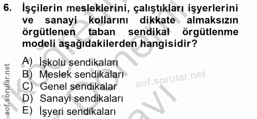 6. soru: İşçilerin mesleklerini, çalıştıkları işyerlerini ve sanayi kollarını dikkate almaksızın örgütlenen taban sendikal örg…