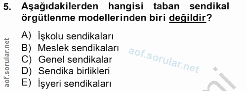 5. soru: Aşağıdakilerden hangisi taban sendikal örgütlenme modellerinden biri değildir? A) İşkolu sendikaları B) Meslek sendik…