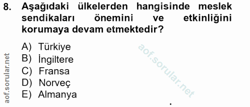 8. soru: Aşağıdaki ülkelerden hangisinde meslek sendikaları önemini ve etkinliğini korumaya devam etmektedir? A) Türkiye B) In…