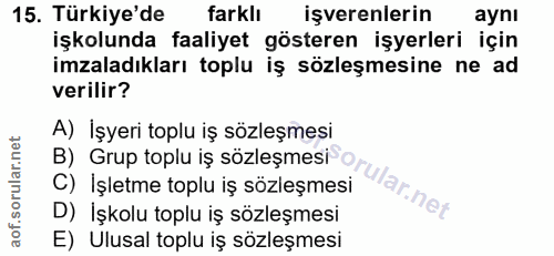 15. soru: Türkiye'de farklı işverenlerin aynı işkolunda faaliyet gösteren işyerleri için imzaladıkları toplu iş sözleşmesine ne…