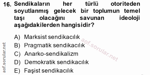 16. soru: Sendikaların her türlü otoriteden soyutlanmış gelecek bir toplumun temel taşı olacağını savunan ideoloji aşağıdakiler…