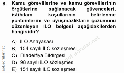 8. soru: Kamu görevlilerine ve kamu görevlilerinin örgütlerine sağlanacak güvenceleri, istihdam koşullarının belirlenme yöntem…