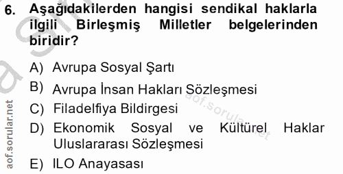 6. soru: Aşağıdakilerden hangisi sendikal haklarla ilgili Birleşmiş Milletler belgelerinden biridir? A) Avrupa Sosyal Şartı B)…