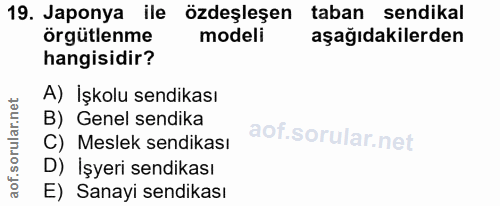 19. soru: Japonya ile özdeşleşen taban sendikal örgütlenme modeli aşağıdakilerden hangisidir? A) İşkolu sendikası B) Genel send…
