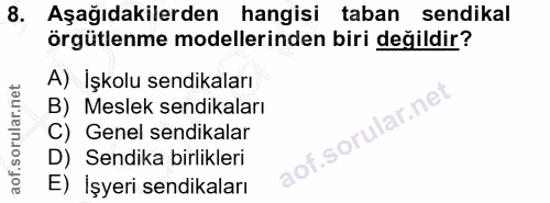 8. soru: Aşağıdakilerden hangisi taban sendikal örgütlenme modellerinden biri değildir? A) İşkolu sendikaları B) Meslek sendik…