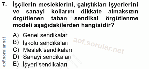 7. soru: İşçilerin mesleklerini, çalıştıkları işyerlerini ve sanayi kollarını dikkate almaksızın örgütlenen taban sendikal örg…