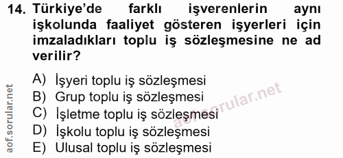 14. soru: Türkiye'de farklı işverenlerin aynı işkolunda faaliyet gösteren işyerleri için imzaladıkları toplu iş sözleşmesine ne…