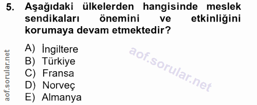 5. soru: Aşağıdaki ülkelerden hangisinde meslek sendikaları önemini ve etkinliğini korumaya devam etmektedir? A) Ingiltere B)…