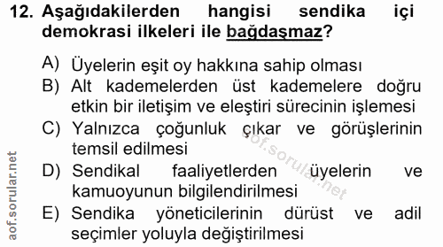 12. soru: Aşağıdakilerden hangisi sendika içi demokrasi ilkeleri ile bağdaşmaz? A) Üyelerin eşit oy hakkına sahip olması B) Alt…