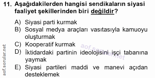 11. soru: Aşağıdakilerden hangisi sendikaların siyasi faaliyet şekillerinden biri değildir? A) Siyasi parti kurmak B) Sosyal me…