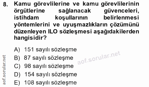 8. soru: Kamu görevlilerine ve kamu görevlilerinin örgütlerine sağlanacak güvenceleri, istihdam koşullarının belirlenmesi yönt…
