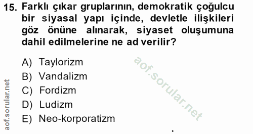 15. soru: Farklı çıkar gruplarının, demokratik çoğulcu bir siyasal yapı içinde, devletle ilişkileri göz önüne alınarak, siyaset…