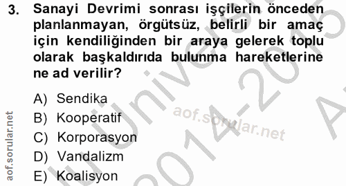3. soru: Sanayi Devrimi sonrası işçilerin önceden planlanmayan, örgütsüz, belirli bir amaç için kendiliğinden bir araya gelere…