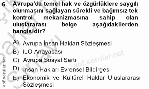 6. soru: Avrupa'da temel hak ve özgürlüklere saygılı olunmasını sağlayan sürekli ve bağımsız tek kontrol mekanizmasina sahip o…