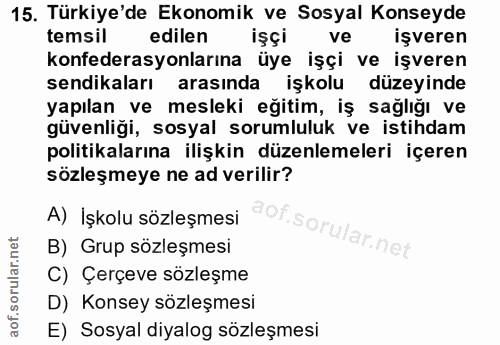 15. soru: Türkiye'de Ekonomik ve Sosyal Konseyde temsil edilen işçi ve işveren konfederasyonlarına üye işçi ve işveren sendikal…