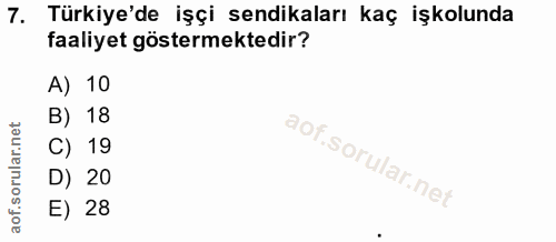 7. soru: Türkiye'de işçi sendikaları kaç işkolunda faaliyet göstermektedir? A) 10 B) 18 C) 19 D) 20 E) 28