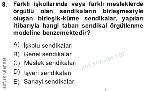 8. soru: Farklı işkollarında veya farklı mesleklerde örgütlü olan sendikaların birleşmesiyle oluşan birleşik-küme sendikalar,…