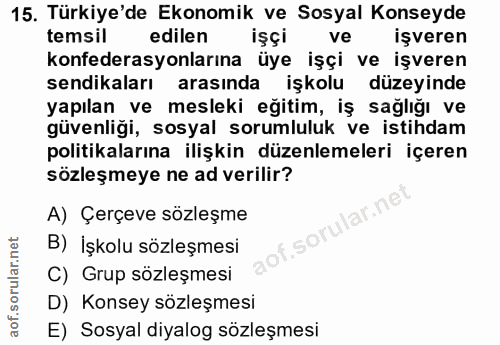 15. soru: Türkiye'de Ekonomik ve Sosyal Konseyde temsil edilen işçi ve işveren konfederasyonlarına üye işçi ve işveren sendikal…