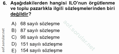 6. soru: Aşağıdakilerden hangisi ILO'nun örgütlenme ve toplu pazarlıkla ilgili sözleşmelerinden biri değildir? A) 68 sayılı sö…