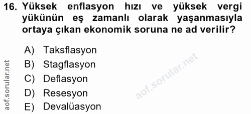 16. soru: Yüksek enflasyon hızı ve yüksek vergi yükünün eş zamanlı olarak yaşanmasıyla ortaya çıkan ekonomik soruna ne ad veril…