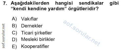 7. soru: Aşağıdakilerden hangisi sendikalar gibi "kendi kendine yardım" örgütleridir? A) Vakıflar B) Dernekler C) Ticari şirke…