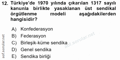 12. soru: Türkiye'de 1970 yılında çıkarılan 1317 sayılı kanunla birlikte yasaklanan üst sendikal örgütlenme modeli aşağıdakiler…