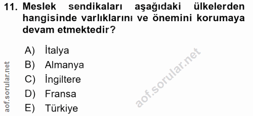 11. soru: Meslek sendikaları aşağıdaki ülkelerden hangisinde varlıklarını ve önemini korumaya devam etmektedir? A) Italya B) Al…
