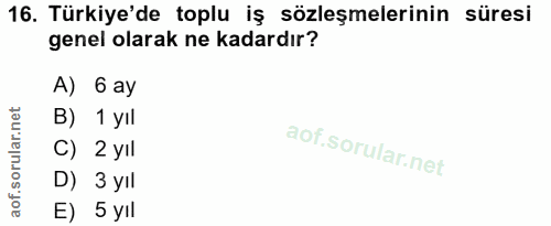16. soru: Türkiye'de toplu iş sözleşmelerinin süresi genel olarak ne kadardır? A) 6 ay B) 1 yıl C) 2 yIl D) 3 yIl E) 5 yıl