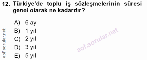12. soru: Türkiye'de toplu iş sözleşmelerinin süresi genel olarak ne kadardır? A) 6 ay B) 1 yıl C) 2 yIl D) 3 yil E) 5 yıl