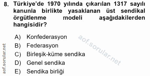 8. soru: Türkiye'de 1970 yılında çıkarılan 1317 sayılı kanunla birlikte yasaklanan üst sendikal örgütlenme modeli aşağıdakiler…