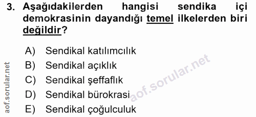 3. soru: Aşağıdakilerden hangisi sendika içi demokrasinin dayandığı temel ilkelerden biri değildir? A) Sendikal katılımcılık B…
