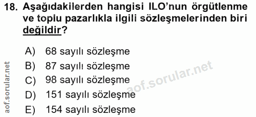 18. soru: Aşağıdakilerden hangisi ILO'nun örgütlenme ve toplu pazarlıkla ilgili sözleşmelerinden biri değildir? A) 68 sayılı sö…