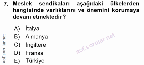 7. soru: Meslek sendikaları aşağıdaki ülkelerden hangisinde varlıklarını ve önemini korumaya devam etmektedir? A) Italya B) Al…