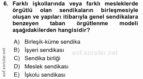 6. soru: Farklı işkollarında veya farklı mesleklerde örgütlü olan sendikaların birleşmesiyle oluşan ve yapıları itibarıyla gen…