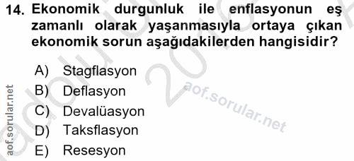 14. soru: Ekonomik durgunluk ile enflasyonun eş zamanlı olarak yaşanmasıyla ortaya çıkan ekonomik sorun aşağıdakilerden hangisi…