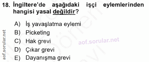 18. soru: İngiltere'de aşağıdaki işçi eylemlerinden hangisi yasal değildir? A) Iş yavaşlatma eylemi B) Picketing C) Hak grevi D…