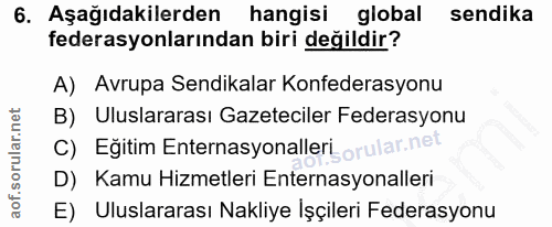 6. soru: Aşağıdakilerden hangisi global sendika federasyonlarından biri değildir? A) Avrupa Sendikalar Konfederasyonu B) Ulusl…
