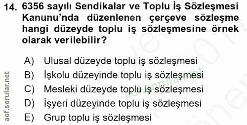 14. soru: 6356 sayılı Sendikalar ve Toplu Iş Sözleşmesi Kanunu'nda düzenlenen çerçeve sözleşme hangi düzeyde toplu iş sözleşmes…