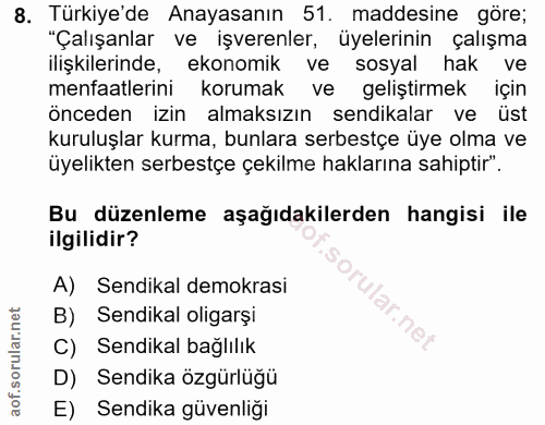8. soru: Türkiye'de Anayasanın 51. maddesine göre; "Çalışanlar ve işverenler, üyelerinin çalışma ilişkilerinde, ekonomik ve so…