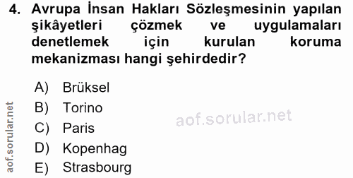 4. soru: Avrupa İnsan Hakları Sözleşmesinin yapılan şikâyetleri çözmek ve uygulamaları denetlemek için kurulan koruma mekanizm…