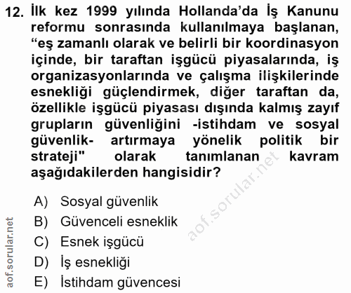 12. soru: Ilk kez 1999 yılında Hollanda'da İş Kanunu reformu sonrasında kullanılmaya başlanan, "eş zamanlı olarak ve belirli bi…