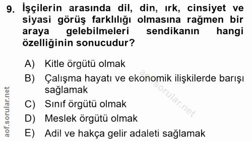 9. soru: İşçilerin arasında dil, din, ırk, cinsiyet ve siyasi görüş farklılığı olmasına rağmen bir araya gelebilmeleri sendika…