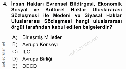 4. soru: Insan Hakları Evrensel Bildirgesi, Ekonomik Sosyal ve Kültürel Haklar Uluslararası Sözleşmesi ile Medeni ve Siyasal H…