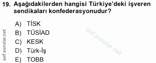 19. soru: Aşağıdakilerden hangisi Türkiye'deki işveren sendikaları konfederasyonudur? A) TISK B) TÜSİAD C) KESK D) Türk-iş E) TOBB