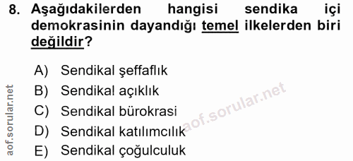 8. soru: Aşağıdakilerden hangisi sendika içi demokrasinin dayandığı temel ilkelerden biri değildir? A) Sendikal şeffaflık B) S…