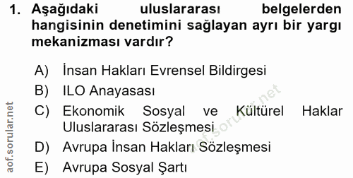 1. soru: Aşağıdaki uluslararası belgelerden hangisinin denetimini sağlayan ayrı bir yargı mekanizması vardır? A) Insan Hakları…