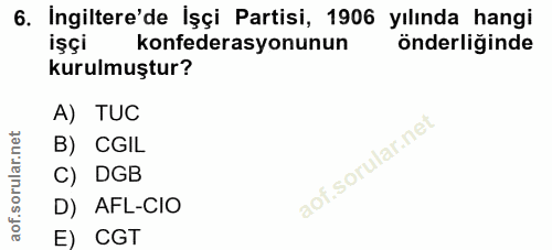 6. soru: İngiltere'de İşçi Partisi, 1906 yılında hangi işçi konfederasyonunun önderliğinde kurulmuştur? A) TUC B) CGIL C) DGB…