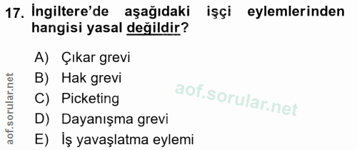 17. soru: İngiltere'de aşağıdaki işçi eylemlerinden hangisi yasal değildir? A) Çıkar grevi B) Hak grevi C) Picketing D) Dayanış…